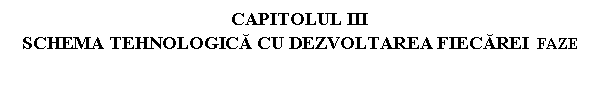 Text Box: CAPITOLUL III
SCHEMA TEHNOLOGICA CU DEZVOLTAREA FIECAREI FAZE
